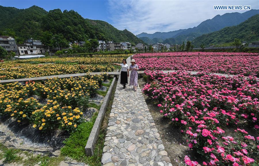 CHINA-ZHEJIANG-HANGZHOU-ROSE GARDEN (CN)