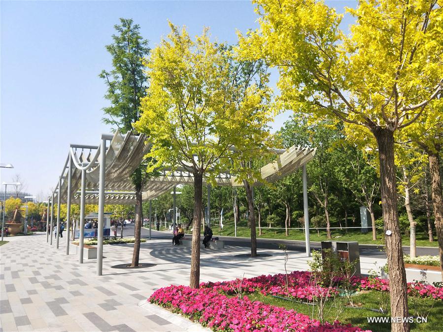 (BeijingCandid)CHINA-BEIJING-HORTICULTURAL EXPO-FLOWERS (CN)