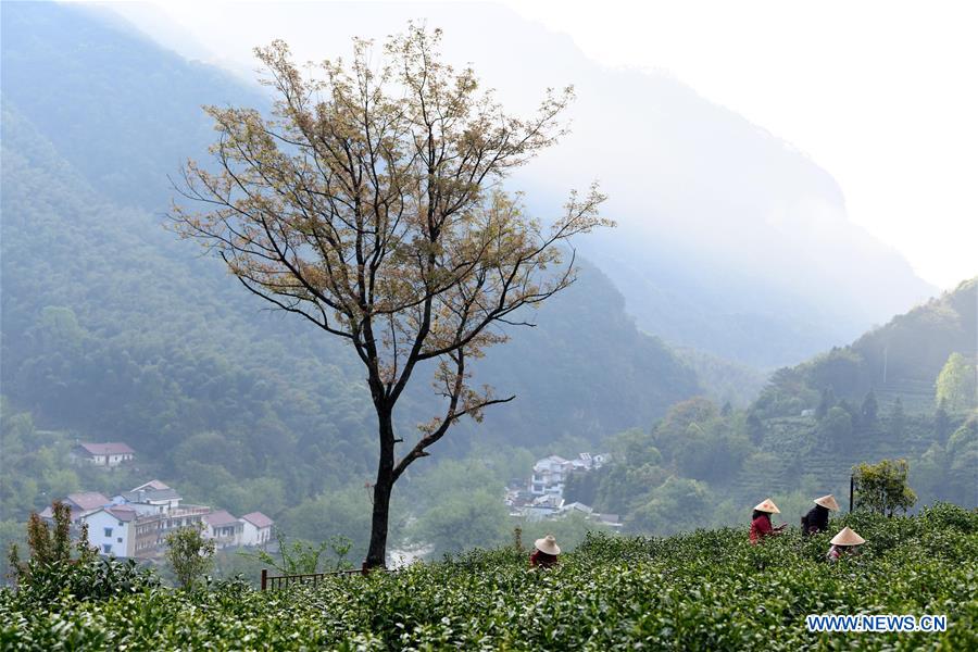 (CDAC)CHINA-BEIJING-ASIAN TEA CULTURE