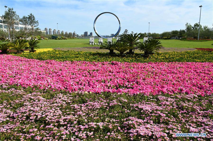 CHINA-SHANDONG-YINGHUA LAKE-ECOLOGICAL PROTECTION (CN)