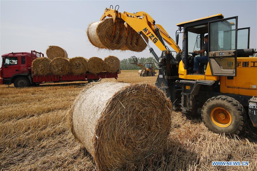 #CHINA-SUMMER-FARM WORK (CN)