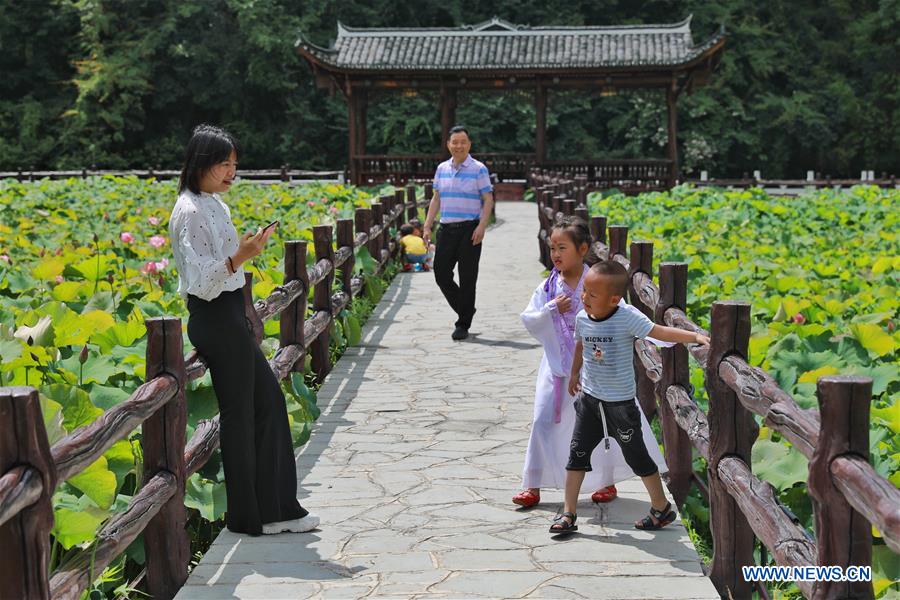 CHINA-GUIZHOU-DUSHAN-LOTUS FLOWERS (CN)