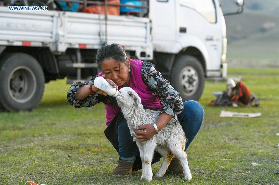 CHINA-INNER MONGOLIA-HERDSMEN-MIGRATION (CN)