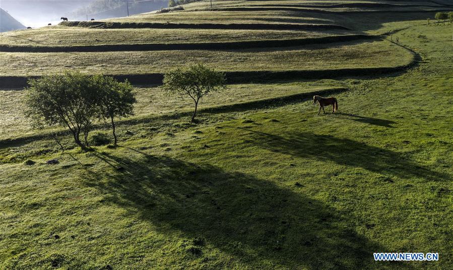 CHINA-SHAANXI-BAOJI-GUANSHAN GRASSLAND (CN)