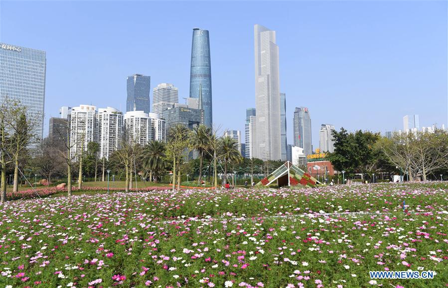 (EcoChina)CHINA-HORTICULTURAL EXPO-GUANGDONG (CN)