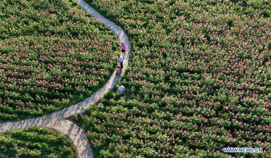 CHINA-SHAANXI-FLOWERS-TOURISM(CN)