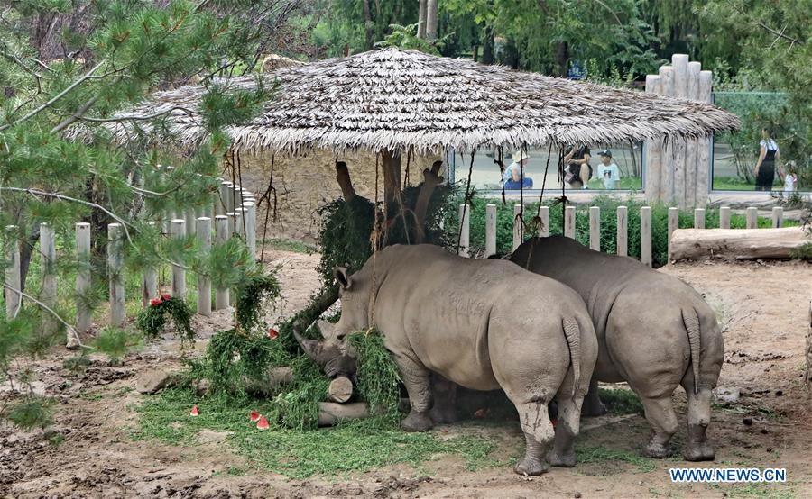 CHINA-BEIJING ZOO-SUMMER (CN)