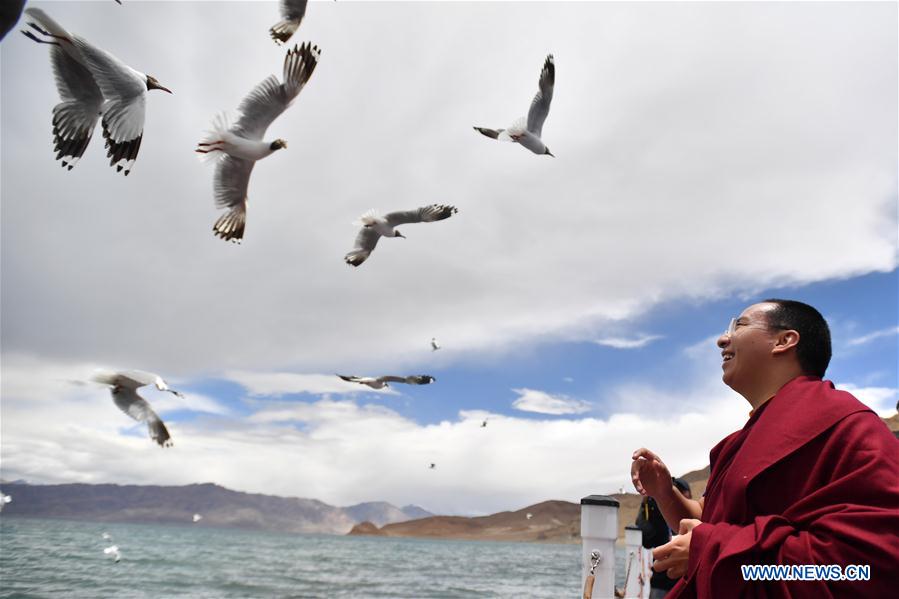 CHINA-TIBET-ALI-PANCHEN LAMA-RESEARCH TOUR (CN)