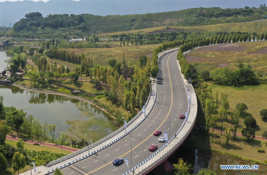 CHINA-CHONGQING-AUTOPILOT (CN)