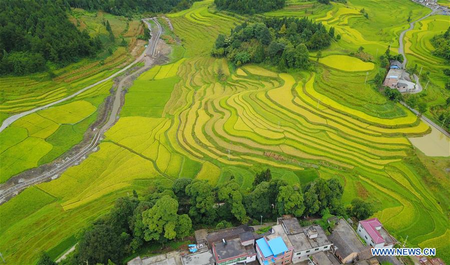 CHINA-GUIZHOU-RURAL SCENERY (CN)