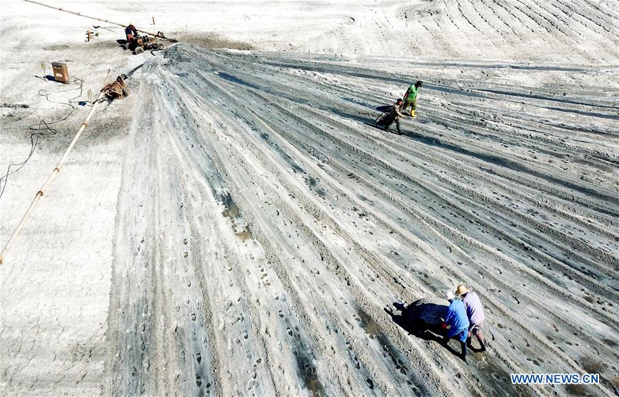 #CHINA-JIANGSU-LIANYUNGANG-SALT HARVEST