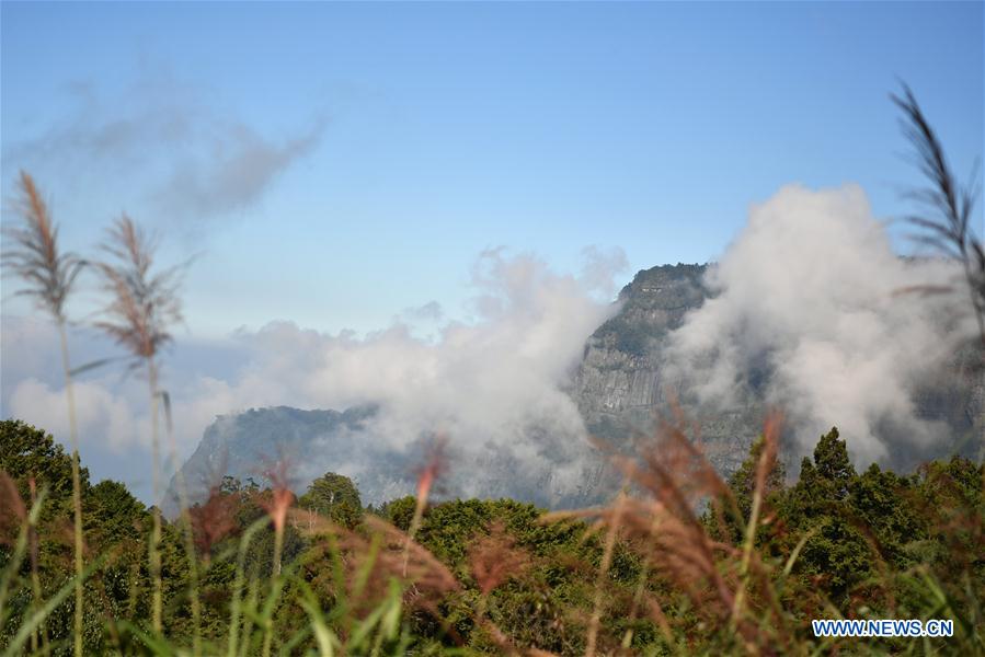 CHINA-ALI MOUNTAIN-AUTUMN SCENERY (CN)