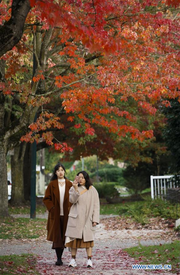 CANADA-VANCOUVER-AUTUMN SCENERY