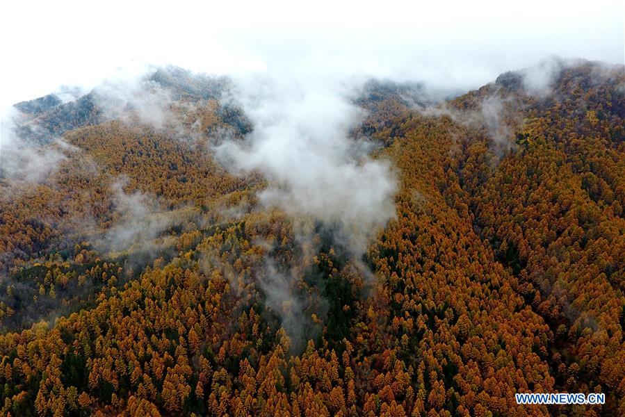 CHINA-SHANXI-PANGQUANGOU-NATURE RESERVE (CN)