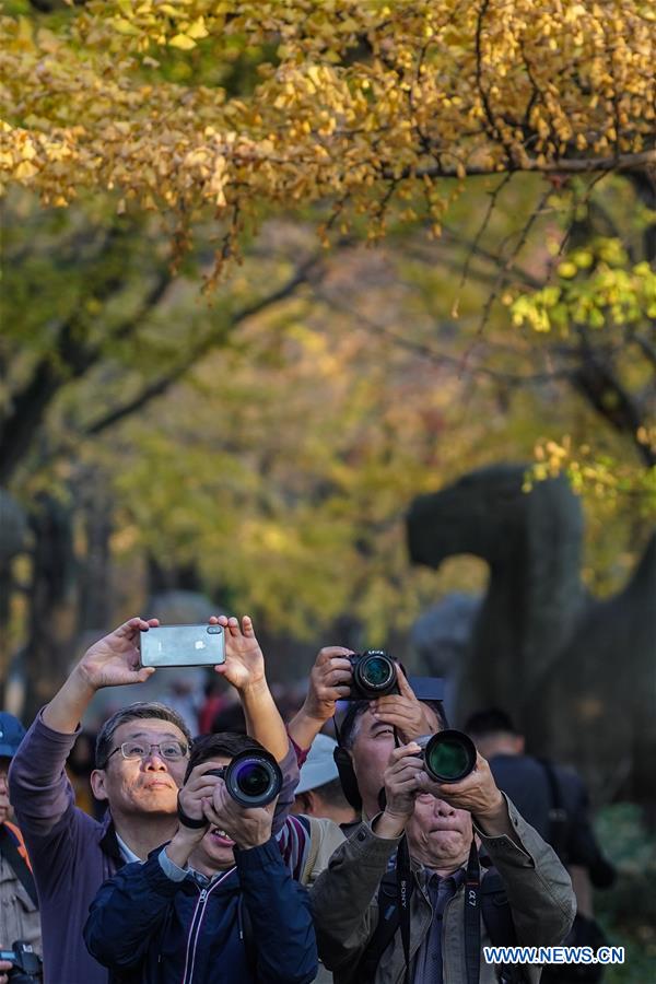 CHINA-NANJING-AUTUMN-XIAOLING MAUSOLEUM-SCENERY (CN)