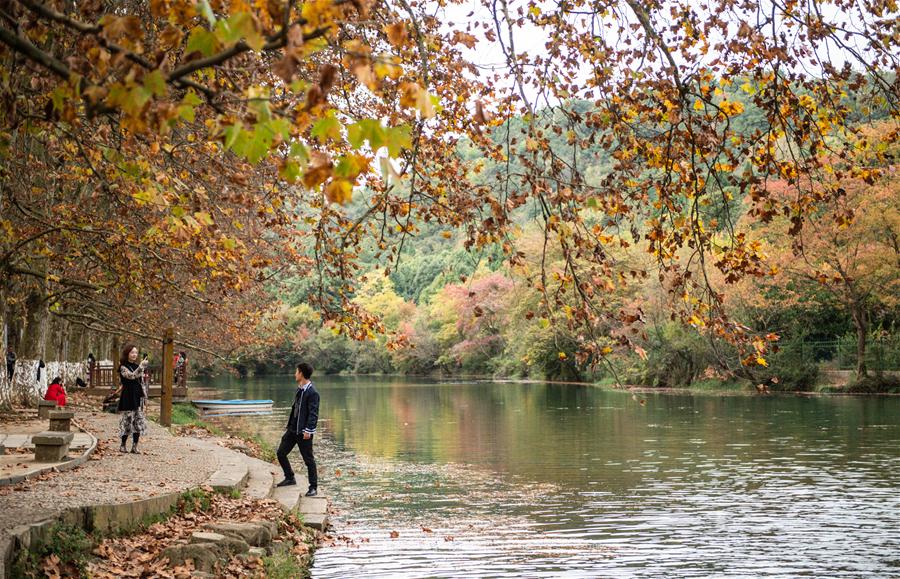 CHINA-GUIZHOU-GUIYANG-AUTUMN SCENERY (CN)