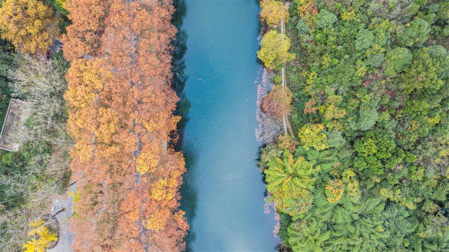 CHINA-GUIZHOU-GUIYANG-AUTUMN SCENERY (CN)