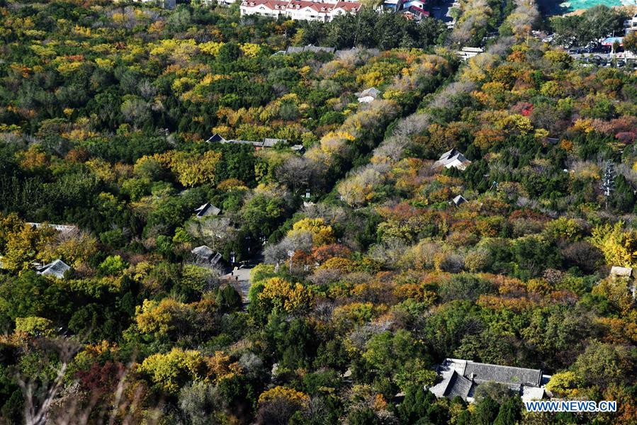 CHINA-SHANDONG-QIANFOSHAN MOUNTAIN-SCENERY (CN)