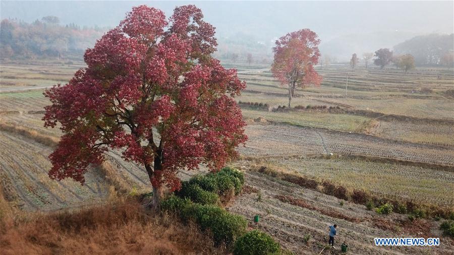 CHINA-ANHUI-WINTER-SCENERY (CN)