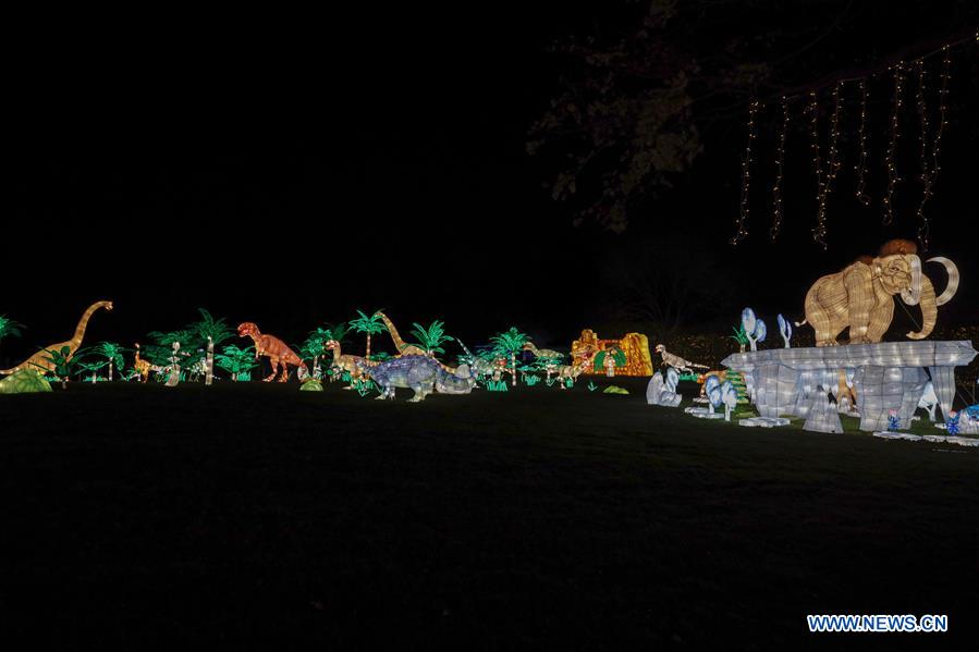 U.S.-NEW YORK-WINTER LANTERN FESTIVAL