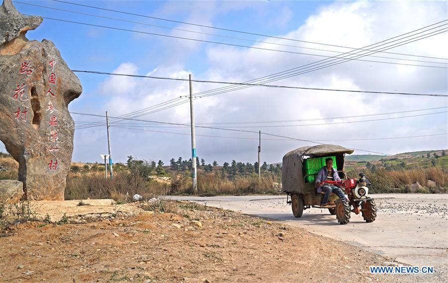 CHINA-YUNNAN-POVERTY ALLEVIATION-PEPINO MELON-INDUSTRY (CN)