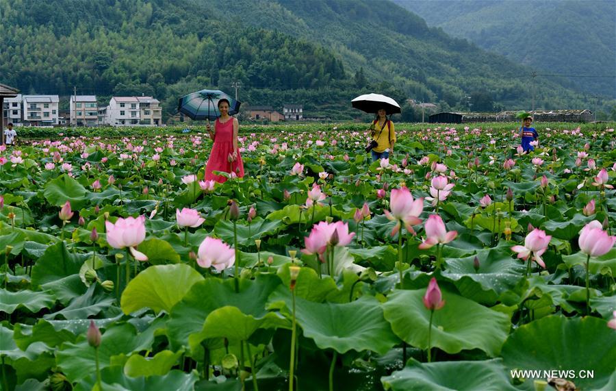 CHINA-FUJIAN-WUYI MOUNTAIN-SCENERY (CN)