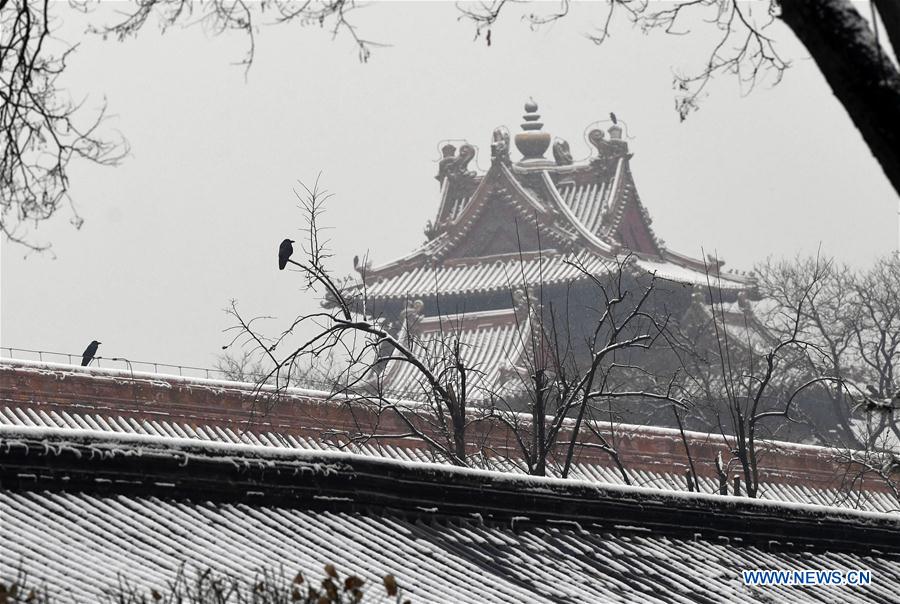 CHINA-BEIJING-SNOWFALL (CN)