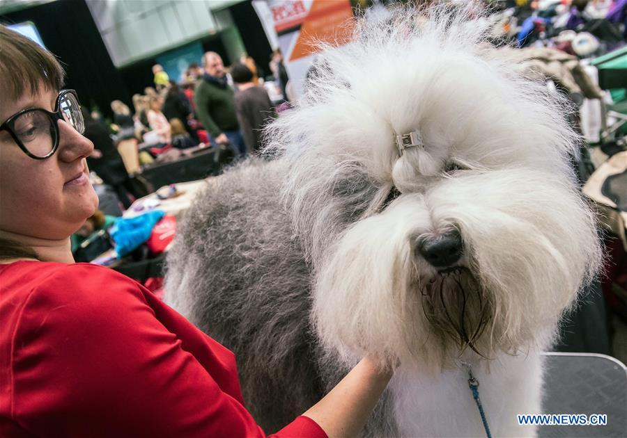 LITHUANIA-VILNIUS-DOG SHOW