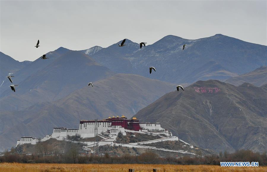 CHINA-TIBET-LHASA-LHALU WETLAND (CN)