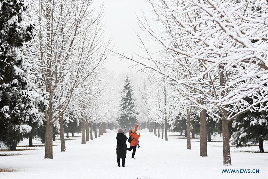 CHINA-BEIJING-SNOW SCENERY (CN)