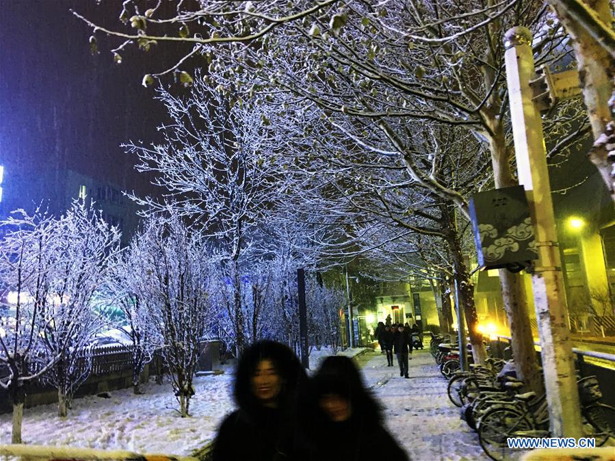 CHINA-BEIJING-SNOW SCENERY (CN)