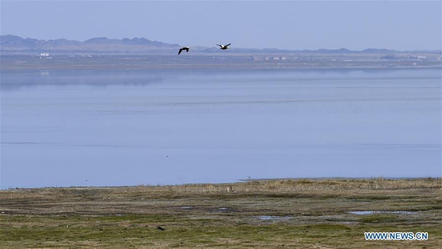 CHINA-XINJIANG-BARKOL LAKE-SCENERY (CN)