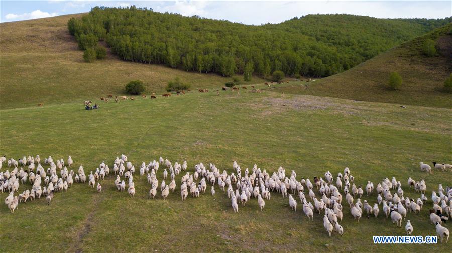 CHINA-INNER MOGOLIA-CHIFENG-AR HORQIN GRASSLAND-LANDSCAPE (CN)