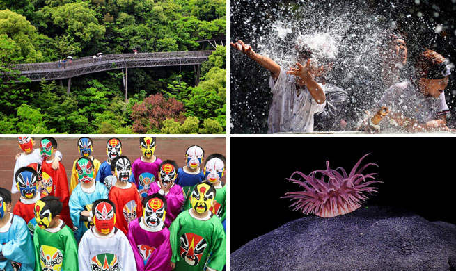 Weekly choices of Xinhua photo