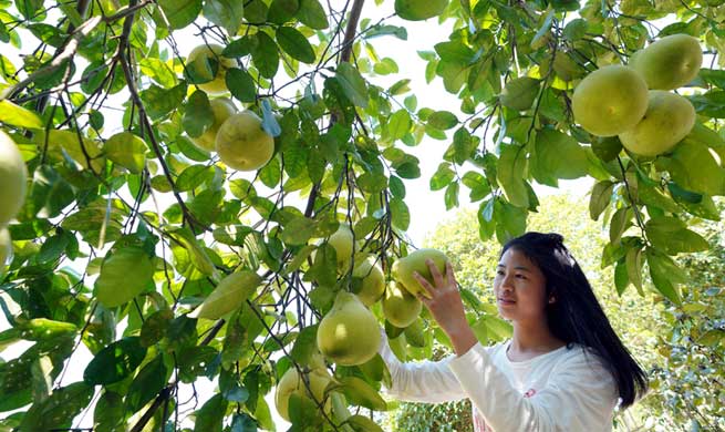 People across China enjoy 3rd day of week-long National Day holiday