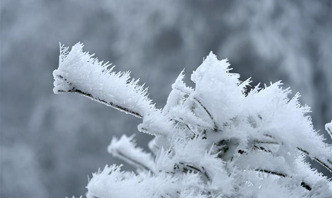 In pics: rime scenery across China