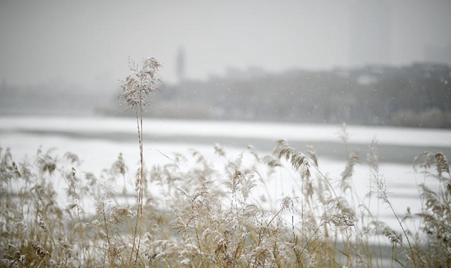 China's Yinchuan embraces first snowfall