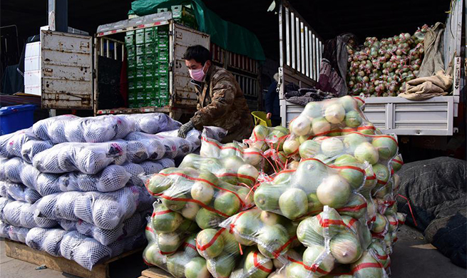 Various measures taken across Henan to ensure sufficient supply of agricultural products