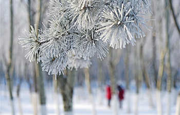 Northeast China's Shenyang covered by rime