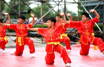 Folk art festival held in Langfang, north China's Hebei