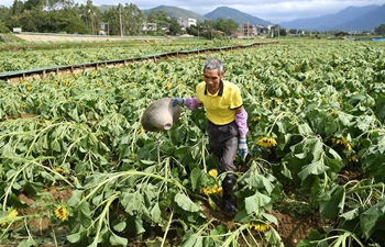 Aftermath of Typhoon Mangkhut in S China's Guangxi