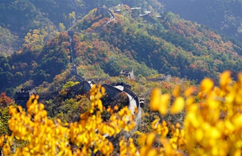 Autumn scenery at the Mutianyu Great Wall in Beijing