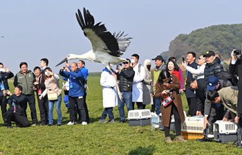 120 cured migrant birds released into wild in Jiangxi