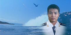 你是海燕 你是鳳凰