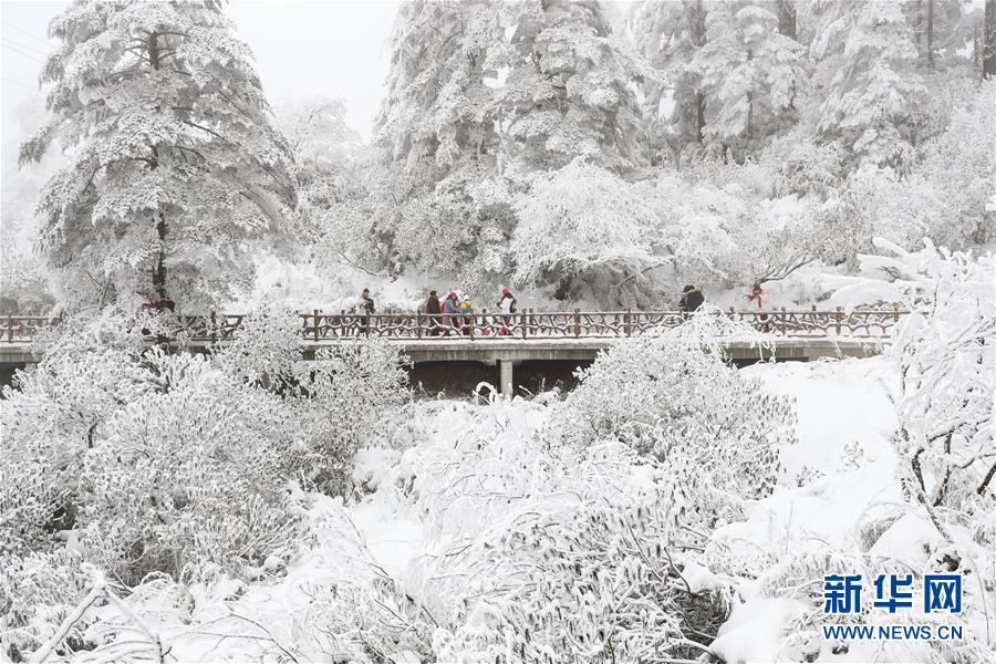 （社會(huì)）（7）暢游冰雪瓦屋山