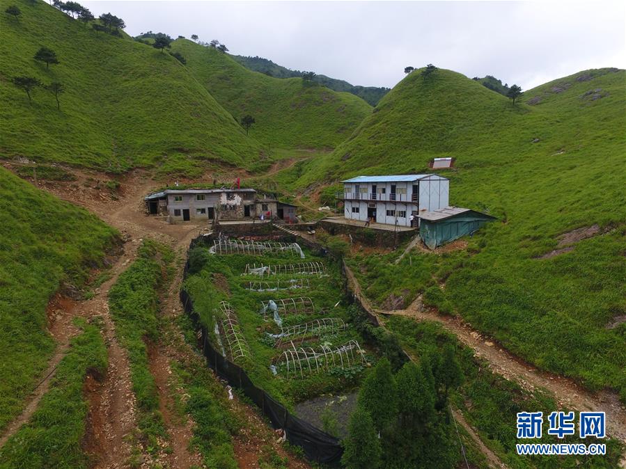 （新華全媒頭條·圖文互動）（3）一個人，一座山——劉真茂的生命守望