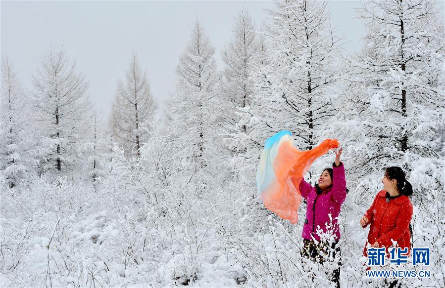 ＃（環(huán)境）（3）雪落呼倫貝爾