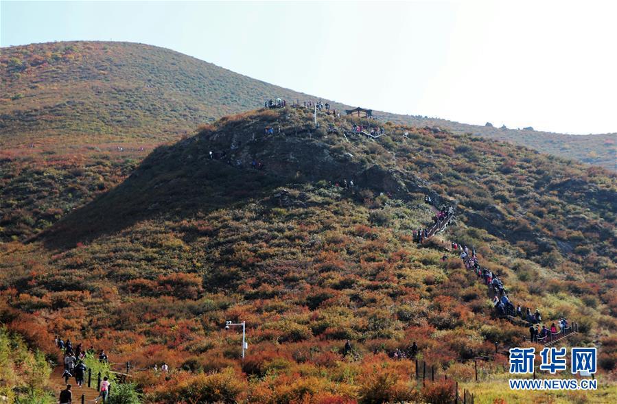 （城市綠道建設·圖文互動）（2）青城登山步道：踏遍青山享美景 生態(tài)綠道助脫貧