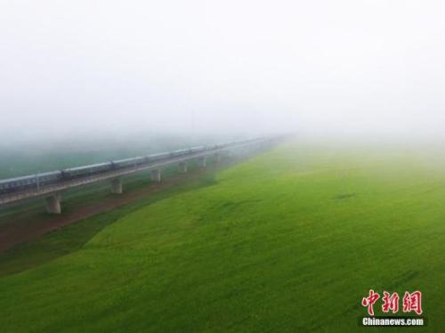 資料圖：動車組穿越雨霧中的油菜花海宛若穿越時(shí)空。 楊艷敏 攝