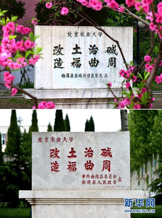 （新華全媒頭條·愛(ài)國(guó)情 奮斗者·圖文互動(dòng)）（2）把論文寫(xiě)在祖國(guó)的大地上——中國(guó)農(nóng)業(yè)大學(xué)46年扎根河北曲周服務(wù)鄉(xiāng)村振興紀(jì)實(shí)